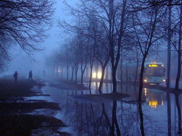 Яблоневый сад в цвету вечер