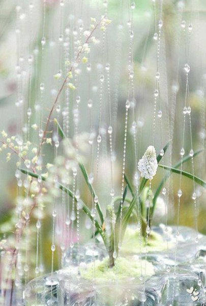 Нежность природа