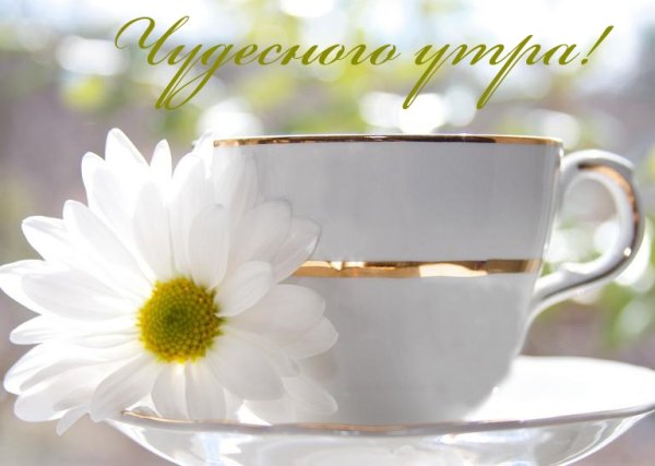 Доброе чудесное утро