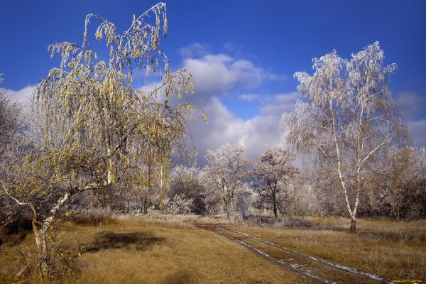 Поздняя осень