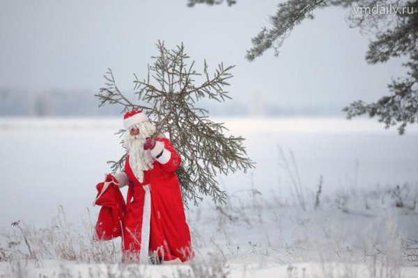 Дед Мороз в заснеженном лесу