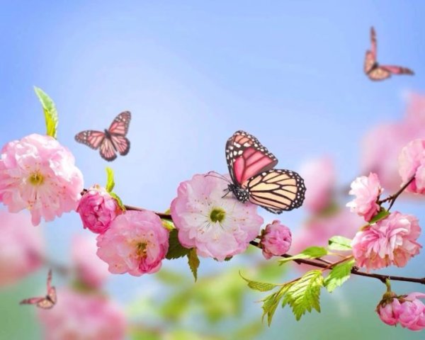 Весенний фон