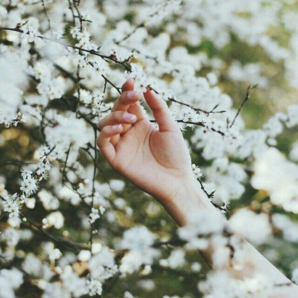 Весна солнце