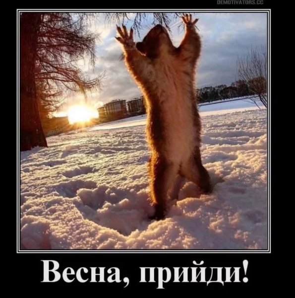 Приколы про весну