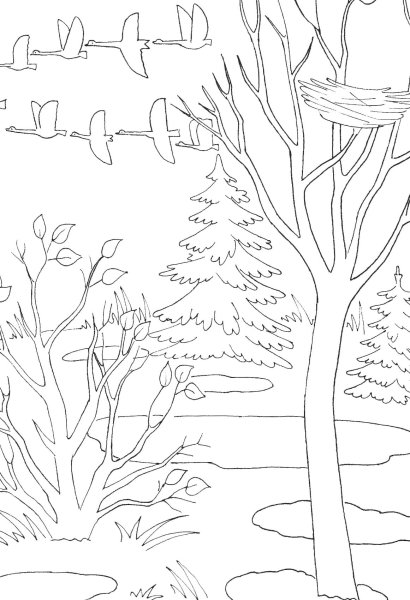 Весенний пейзаж раскраска