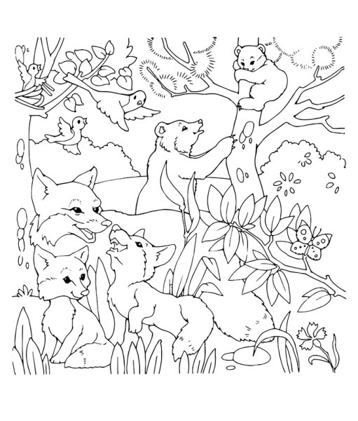 Раскраска природа