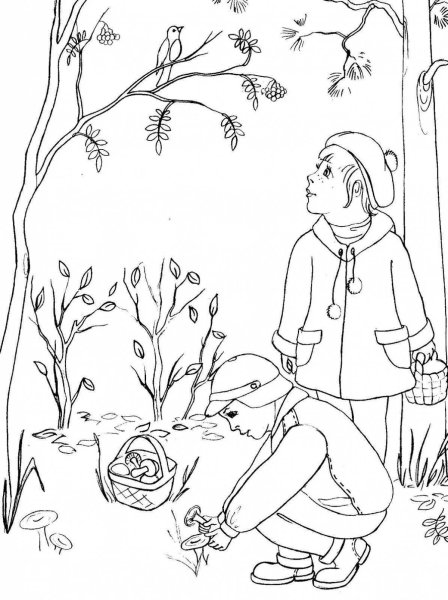 Лес раскраска для детей