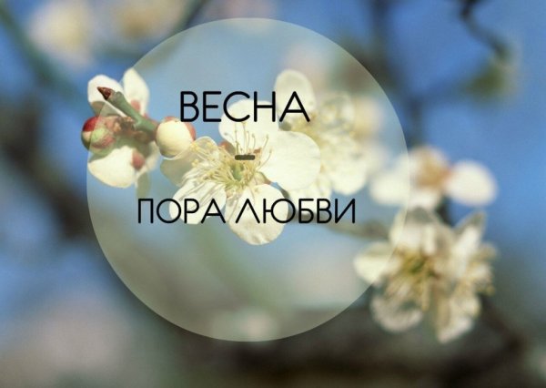 Весна пора любви цитаты