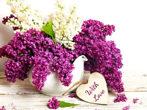 Сирень в виде сердца