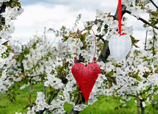 Весна любовь сердце