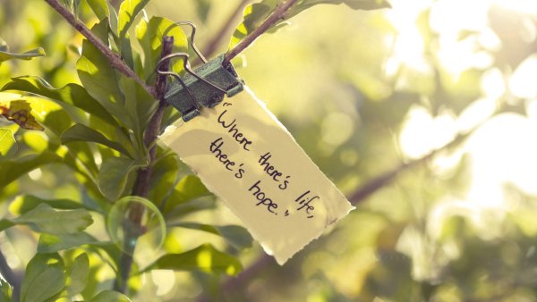 Красивые цитаты на красивом фоне