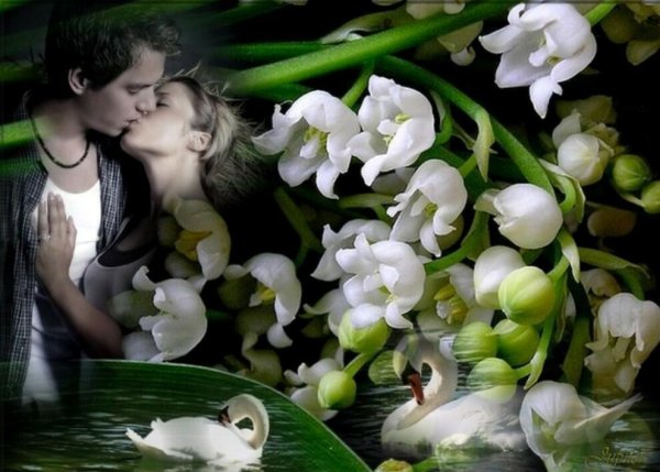 Нежный весенний поцелуй