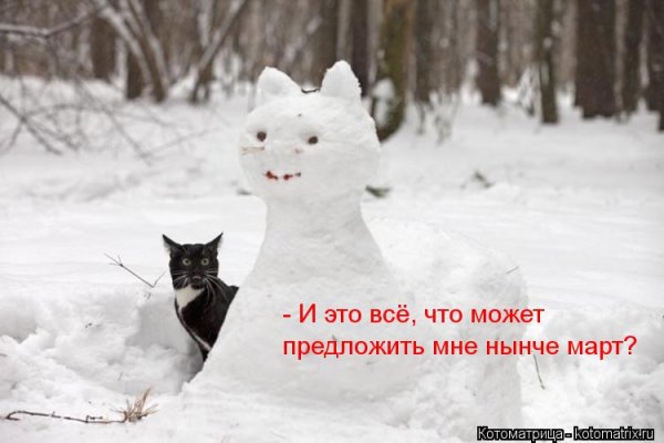 Приколы про зиму и весну