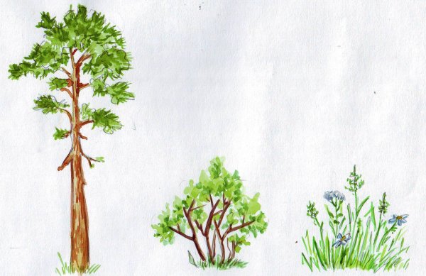 раскраска Пейзаж с холмов и растительности раскраски