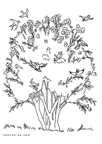 Кустарник раскраска