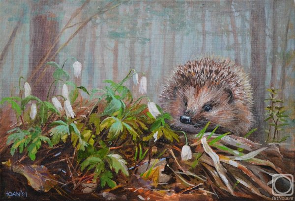 Юлия неприятель