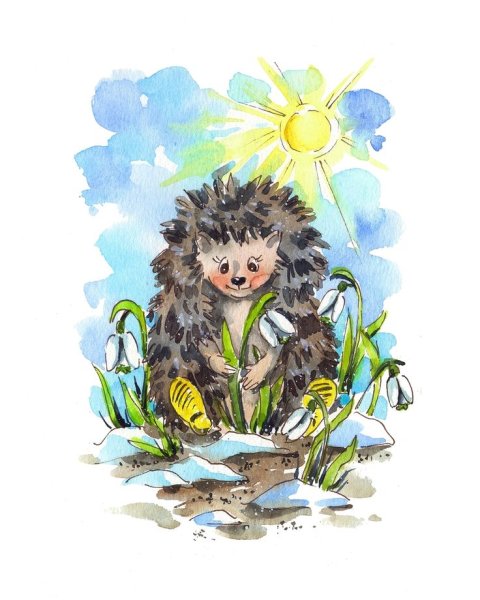 Ежик проснулся