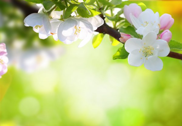 1 Мая праздник весны и труда