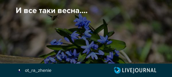 И все-таки Весна наступит