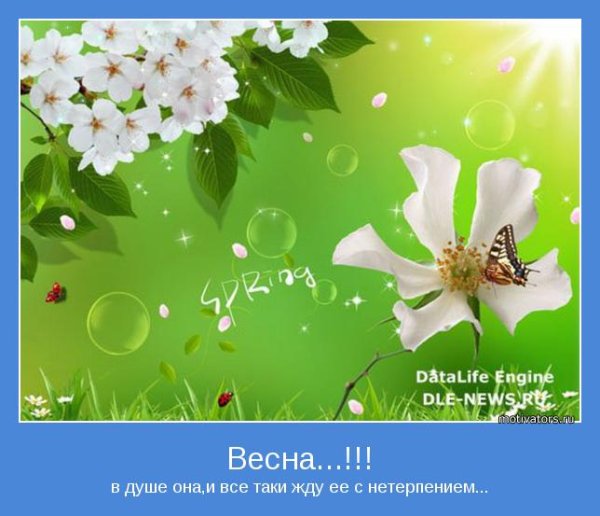 Весна мотиваторы