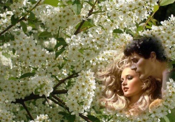 Где-то под снегом Весна