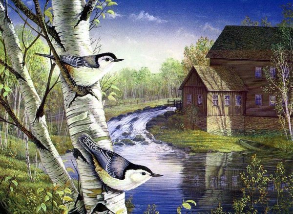 Прилет Скворцов весной