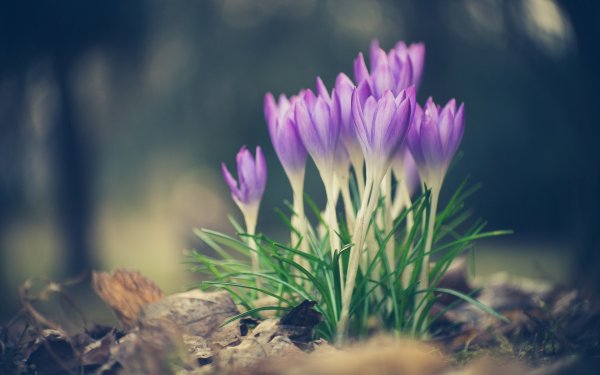 Обложка для фейсбука