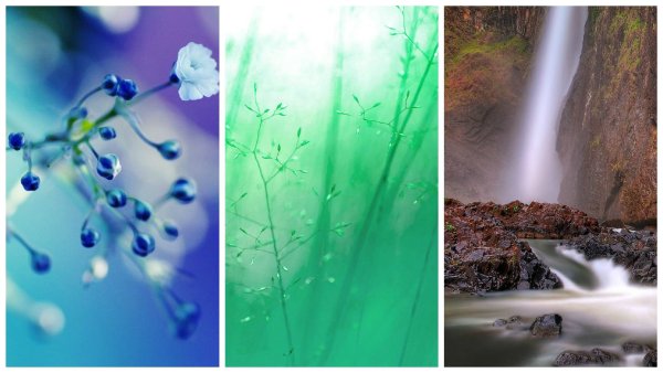 Природа в холодных тонах