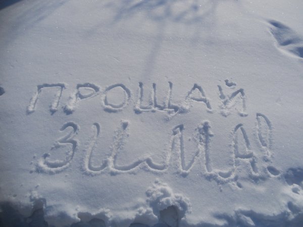 Приколы про зиму и весну