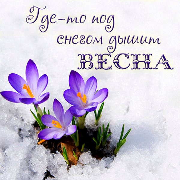 Доброго снежного ве еннего утра