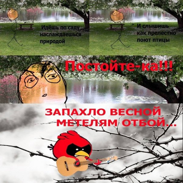 Запахло весной прикол