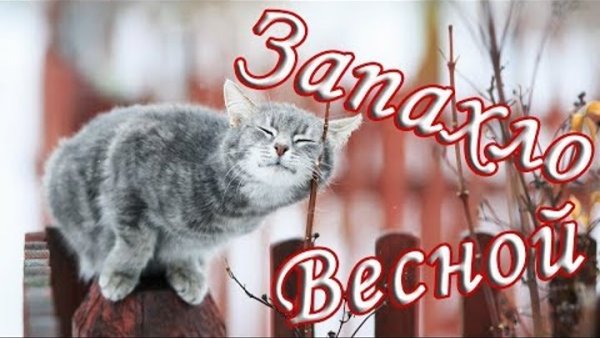 Открытка доброе утро Зайка