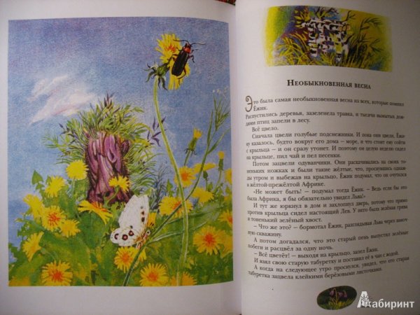 Необыкновенная Весна с.Козлов