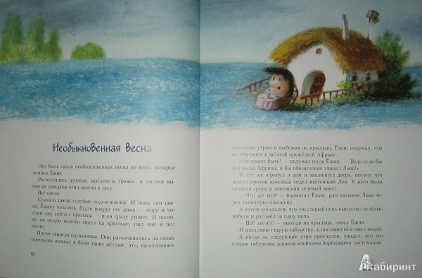 Светозар остров Ёжик