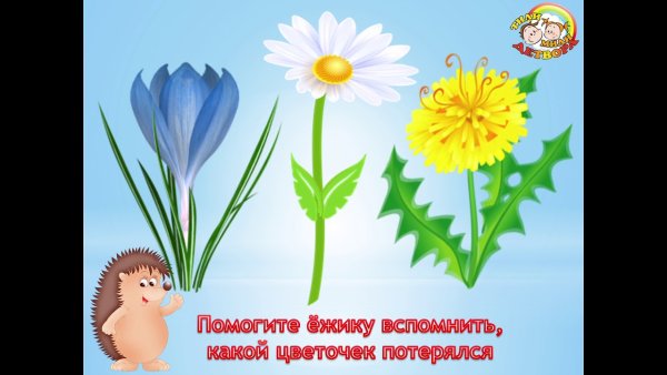 Сказочные жители леса