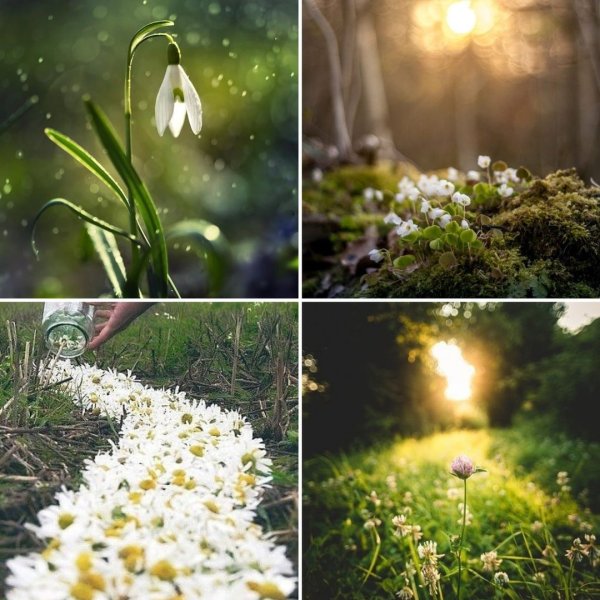 Весна Эстетика