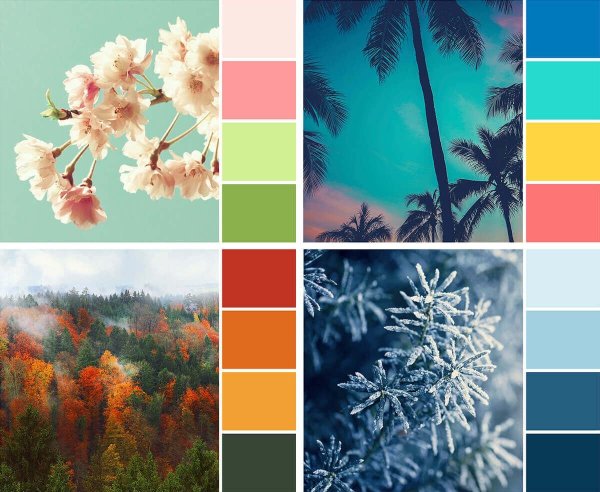 Деревья в снегу