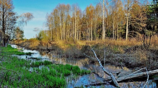 Весенняя деревня