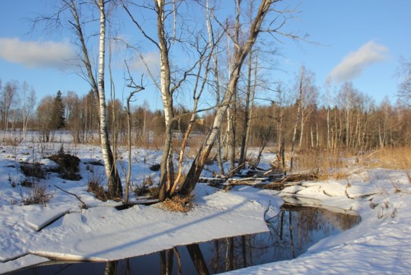 Весна в деревне