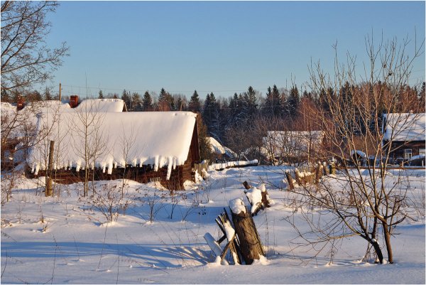 Художник шевелёв Александр Викторович зима
