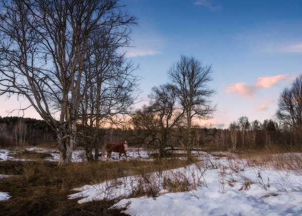 Весна в деревне