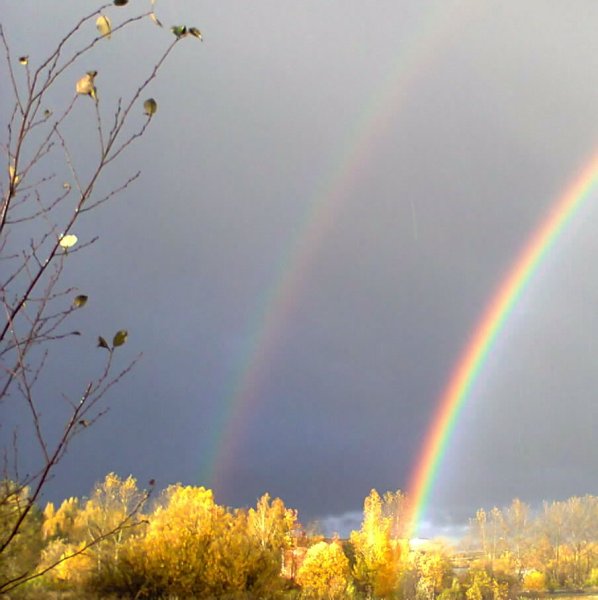 Красивая природа с радугой