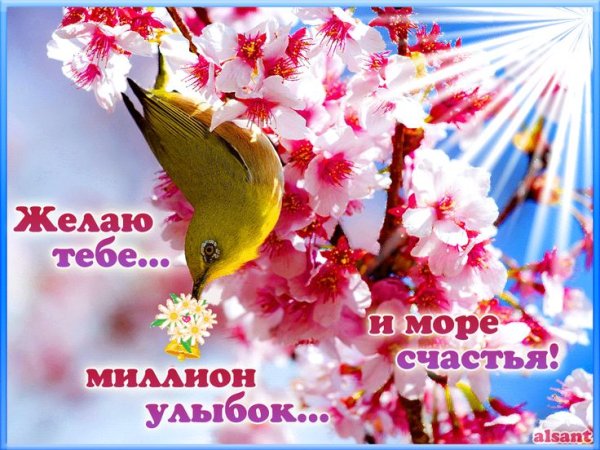 Доброе утро солнечного дня Весна