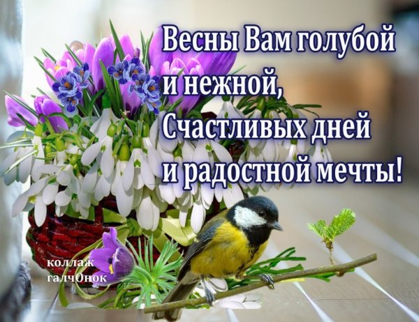 Пусть мечты сбываются
