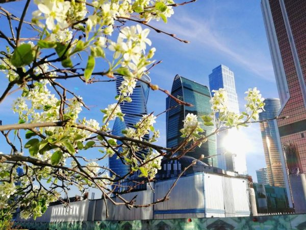 Весенний город