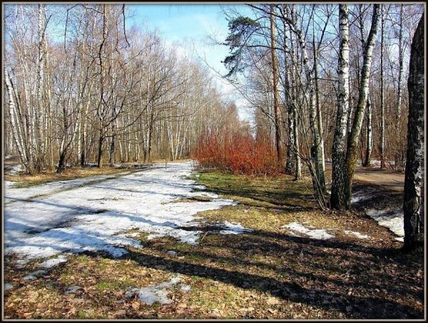 Весна таяние снега