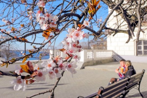 Теплая Весна в городе