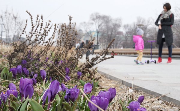 Москва ранней весной