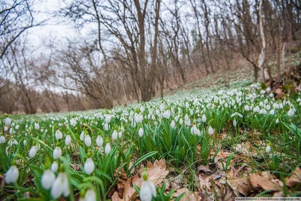 Весенний день