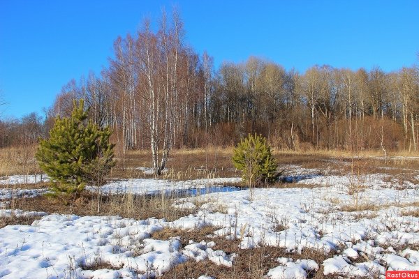 Наступления весны в селе